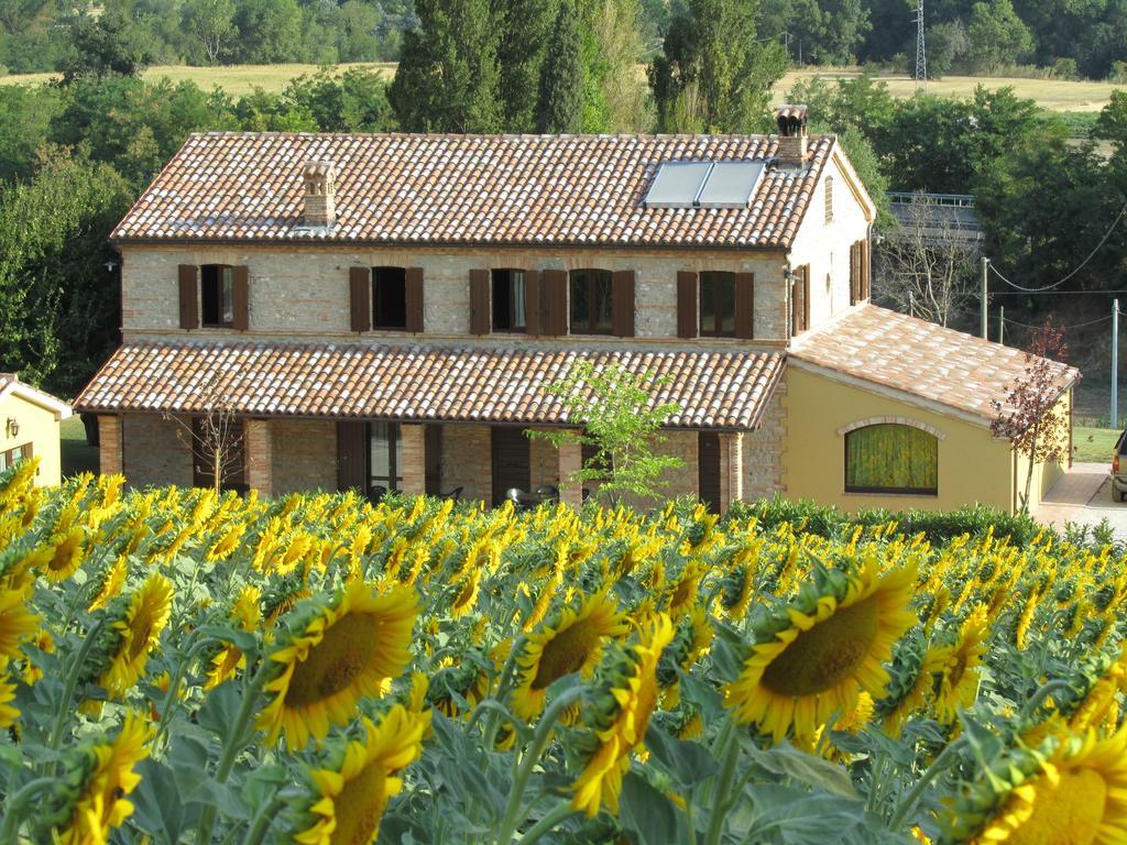 Agriturismo La Vecchia Fonte Guest House Castelbellino Exterior photo